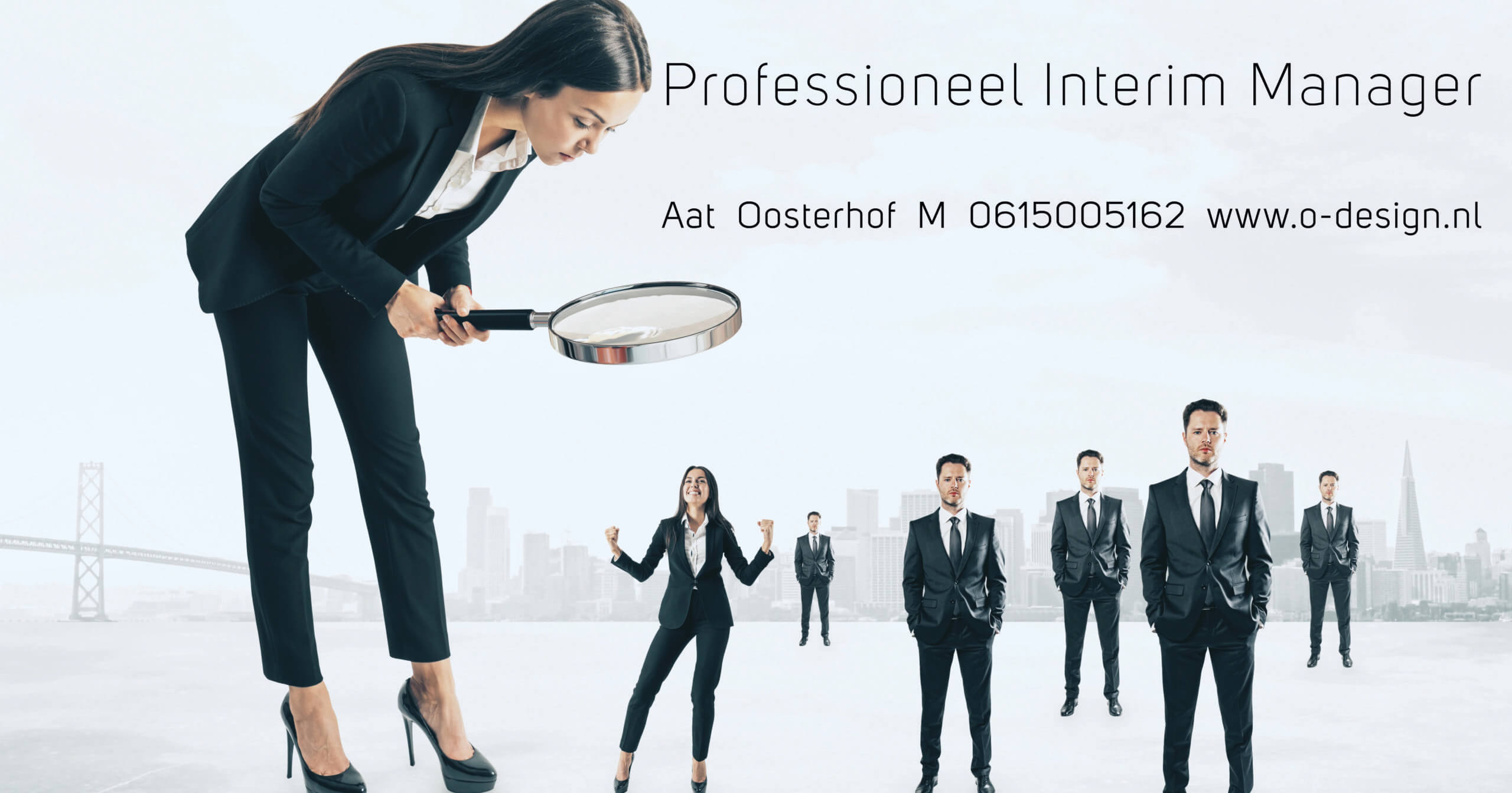 aat oosterhof professioneel interim manager